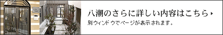 �����̂���ɏڂ������e�͂�����